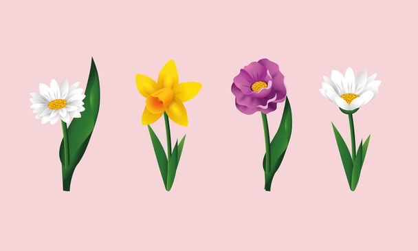 set exotic flowers plants with nature leaves vector illustration - Vector, Image