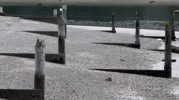 old pilings rising from sand with light and shadow - Footage, Video