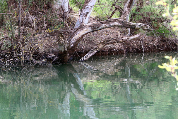 За Євангелієм, у водах річки Ісус Христос хрестився  - Фото, зображення