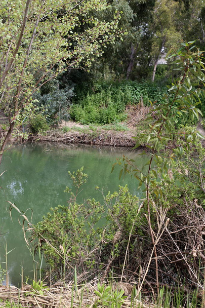 Según el Evangelio, en las aguas del río Jesucristo fue bautizado
  - Foto, imagen