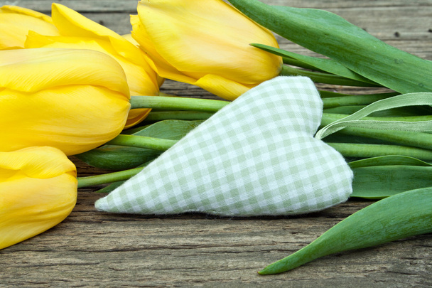 жовті тюльпани
 - Фото, зображення