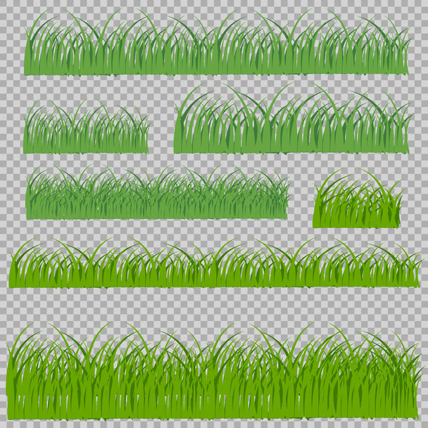Hierba verde sobre un fondo transparente. Glade en la hierba del bosque. Ilustración vectorial sobre fondo claro
. - Vector, imagen