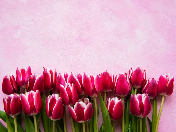 Pink spring tulips - Photo, image
