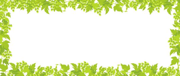 Άλμα πλαίσιο φυτό ορθογώνιο πανό. Το πλαίσιο περιγράμματος απομονώθηκε διαφανές φόντο. Πράσινα φύλλα και κώνους. Διάνυσμα επίπεδη εικονογράφηση για κατάστημα μπύρας ή διαφήμιση καφέ. - Διάνυσμα, εικόνα