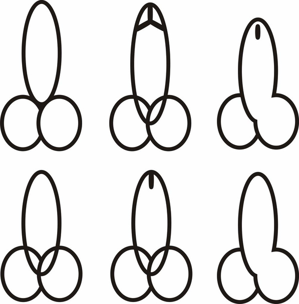男性生殖器官のグラフィックの象徴的な形状。ベクトル イラスト eps. - ベクター画像