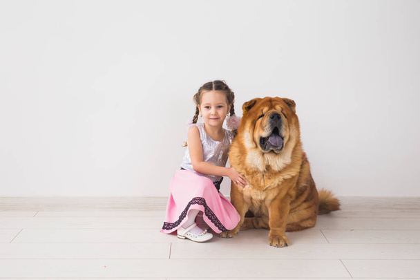 people, animals and children concept - girl with ginger dog of chow-chow on white background - 写真・画像