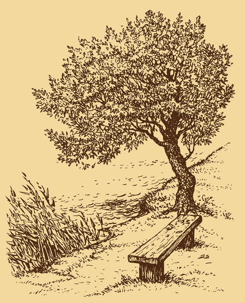 Vector landscape. Old bench near tree on the bank of lake - Vector, Image