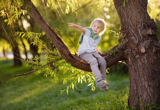 Little boy sits on a branch of a big tree and points with his finger. Child's games. Active family time on nature. Hiking with little kids. - Фото, зображення