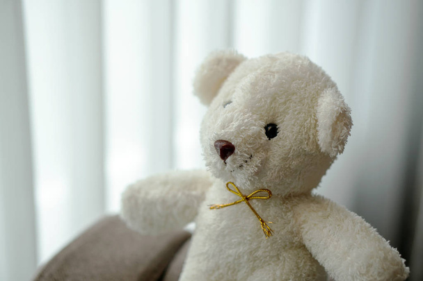 white teddy bear doll toy sit on a sofa couch - Photo, Image