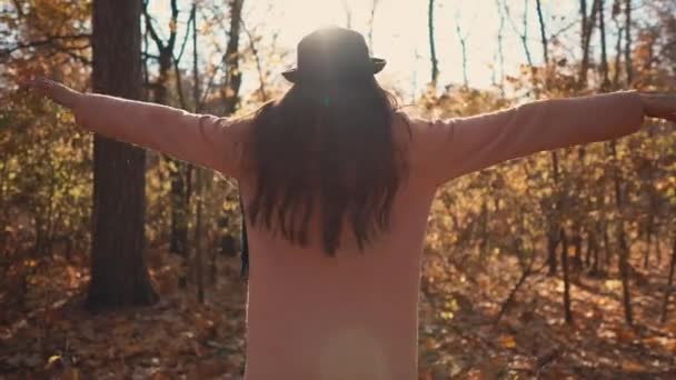 Mulher feliz está admirando a natureza do parque de outono, levantando as mãos para cima, visão traseira
 - Filmagem, Vídeo