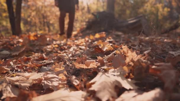 男は秋の森で地面を踏んでいる、葉を蹴る、足のクローズアップ - 映像、動画