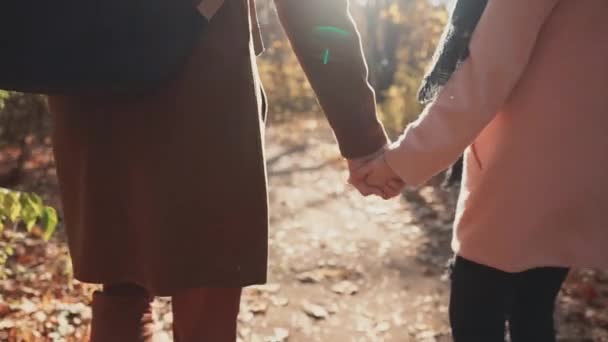 Kädet ja lantio kävelevä pari syksyllä metsässä aurinkoisena päivänä, peruutusnäkymä
 - Materiaali, video