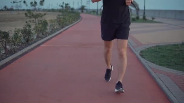 Homme jogger se déplace sur le chemin sportif dans le parc, en utilisant le suivi de fitness sur place
 - Séquence, vidéo