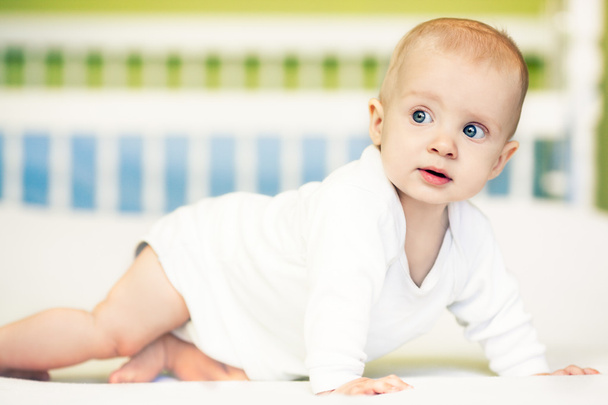 Baby Boy Crawling - Фото, зображення