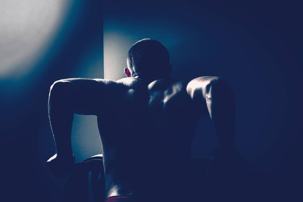 bodybuilder in the gym performs exercises for bodybuilding. - Fotoğraf, Görsel