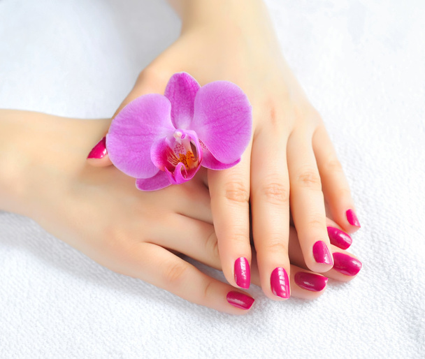 Beautiful hands with manicure and purple orchid flower - Foto, Imagen