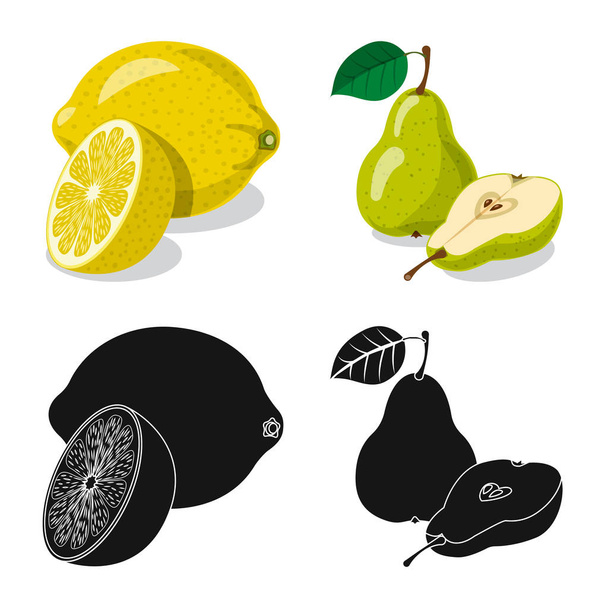 Vector illustration of vegetable and fruit sign. Collection of vegetable and vegetarian vector icon for stock. - Vektor, obrázek