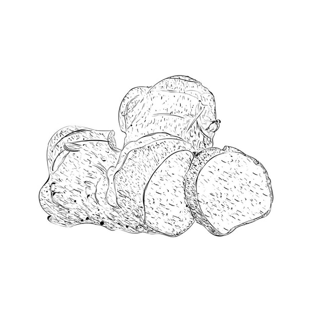 Hand drawn ginger illustration vector  - Vettoriali, immagini