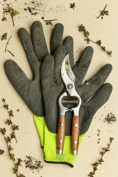 Ensemble de jardinage de base. ciseaux taille arbre et lueurs avec des brindilles
  - Photo, image