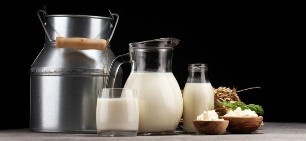 milk products. tasty healthy dairy products on a table. sour cre - Photo, Image