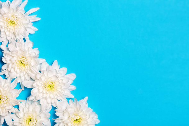 Flores brancas sobre fundo azul com espaço de cópia. leigos planos, para
 - Foto, Imagem