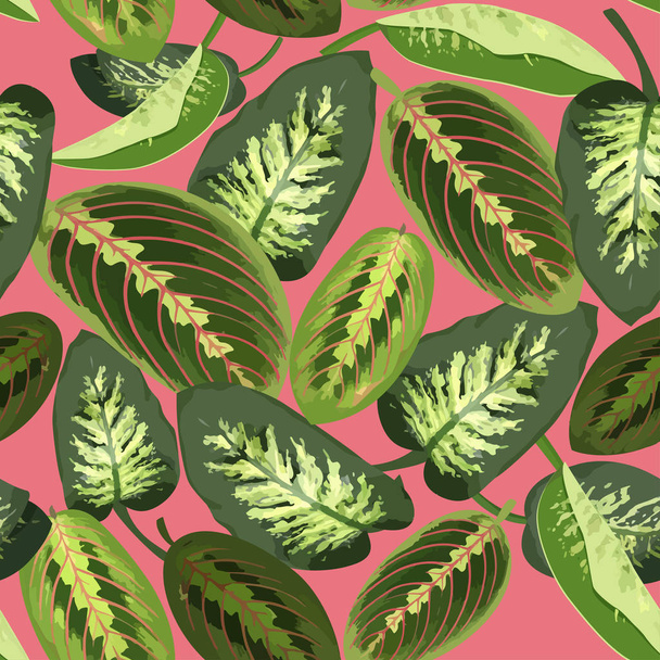 Tropical green leaves of Maranta and dieffenbachia. Summer exotic pink seamless pattern. - Vektör, Görsel
