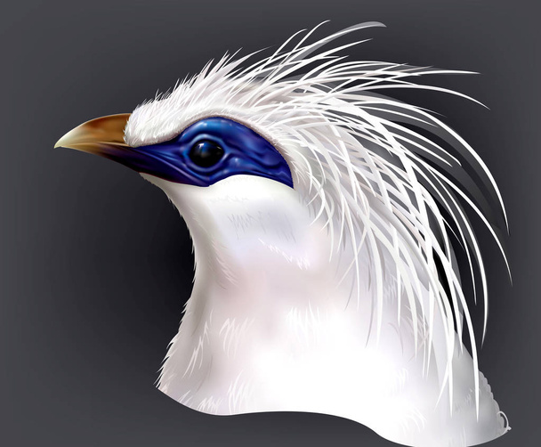 Κεφάλι Μπαλί Myna Leucopsar rothschildi σπάνιο ενδημικό πουλί - Διάνυσμα, εικόνα