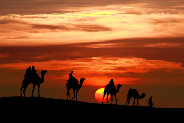 caravan Walking with camel through Thar Desert in India, Show si - Photo, Image