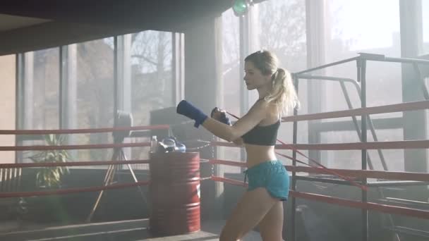 Focused young woman training in the boxing club. - Materiał filmowy, wideo