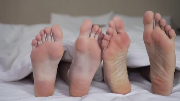 Jovem casal apaixonado na cama, pernas sob as tampas close-up
. - Filmagem, Vídeo