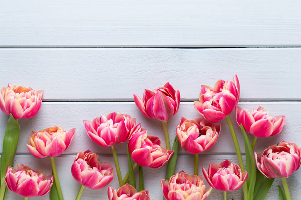 Spring flowers tulips on pastel colors background. Retro vintage - Фото, зображення