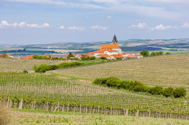 vinhas, Palava, região da Morávia, República Checa - Foto, Imagem