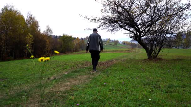 Man passes through field meadow in autumn landscape - Imágenes, Vídeo