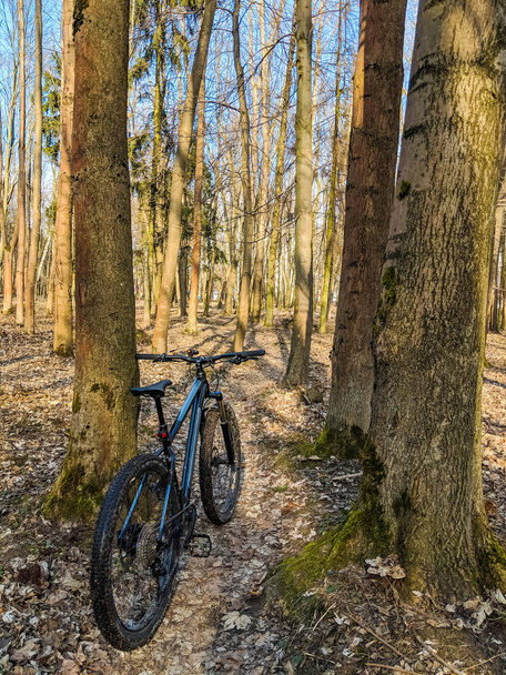 MTB Bisiklet bahar sezonu izinde - Fotoğraf, Görsel