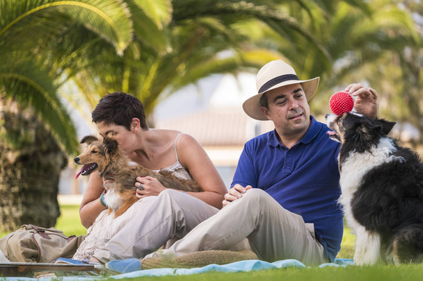 Adult caucasian couple sitting outdoor on a green meadow with tropical palm in background playing with two best friends animal dog playful and happy - Photo, Image