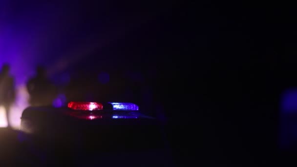Polizisten mit Polizeiautos in der Nacht mit Nebelhintergrund.  - Filmmaterial, Video