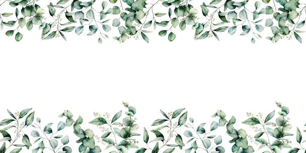 Watercolor eucalyptus seamless border. Hand painted eucalyptus branch and leaves isolated on white background. Floral illustration for design, print, fabric or background. - Photo, Image