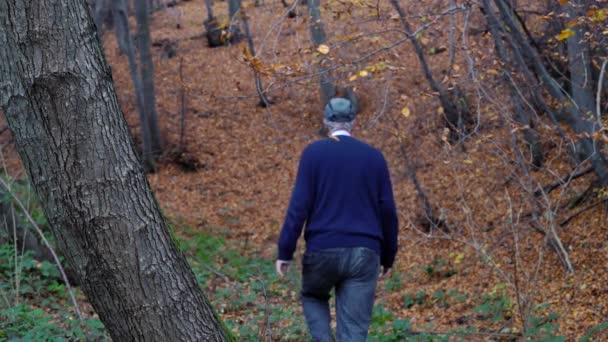 Man walking through forest of full autumn leaves - Video