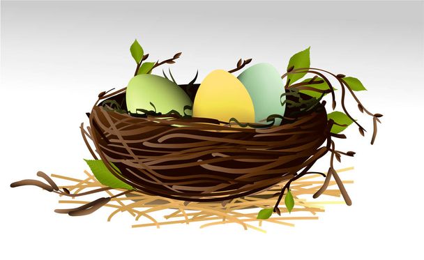 Holiday background with eggs in nest - Vector, Image