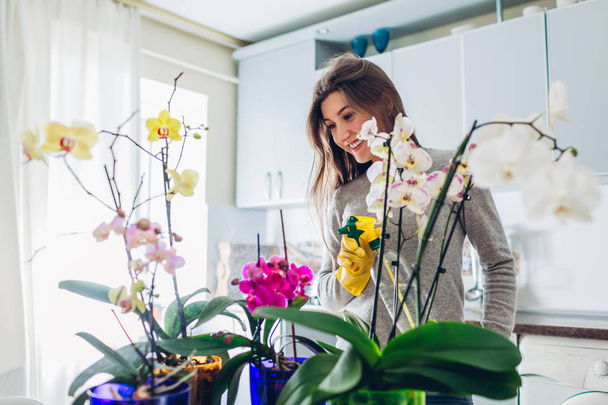 Mulher pulverizando água em orquídeas na cozinha. Houswife cuidar de plantas de casa
 - Foto, Imagem
