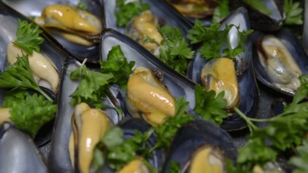 steamed shellfish in pan, food closeup - Footage, Video