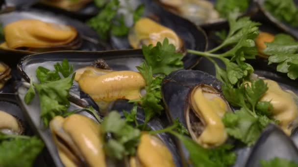 tavada, gıda closeup haşlanmış kabuklu deniz ürünleri - Video, Çekim