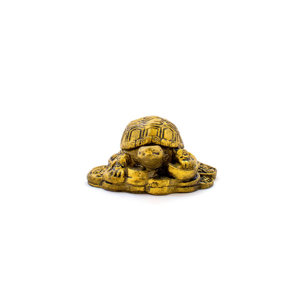Foto van gouden traditionele chinese schildpad geïsoleerd op witte achtergrond - Foto, afbeelding