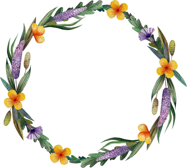Round frame. A wreath of wild meadow flowers. cornflowers and herbs - Photo, image
