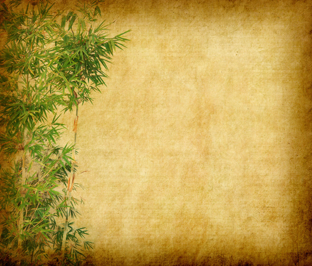 Bamboo on old grunge paper texture background - Photo, Image