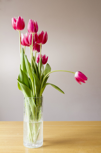 Rózsaszín tulipán és a fal mögött csomó üvegváza - Fotó, kép