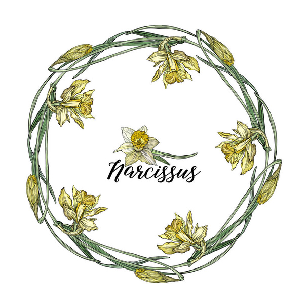 Heldere floral voorjaar composities met Narcissus bloemen. - Vector, afbeelding