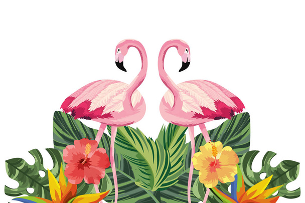 flamencos tropicales con flores vector de dibujos animados ilustración diseño gráfico
 - Vector, imagen