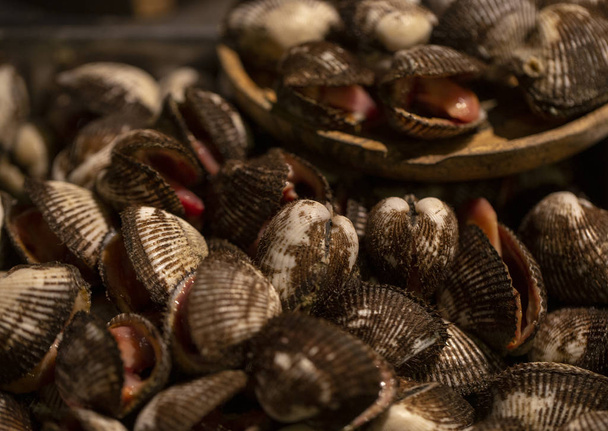 shellfish, seashells at night food market in Thailand - Foto, afbeelding