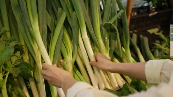 Een vrouw hand kiezen en kopen een heleboel prei in een supermarkt - Video